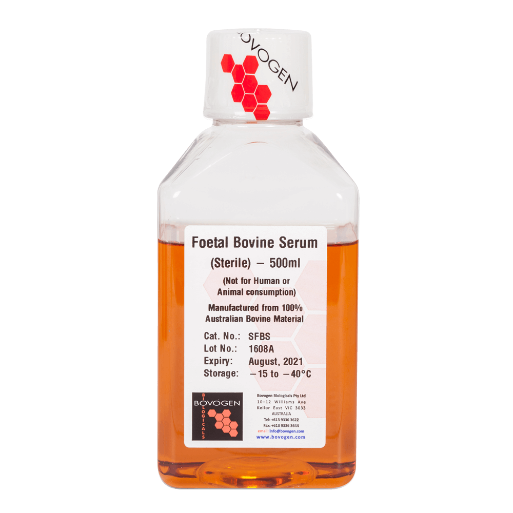 SFBS-AU Foetal Bovine Serum – Sterile