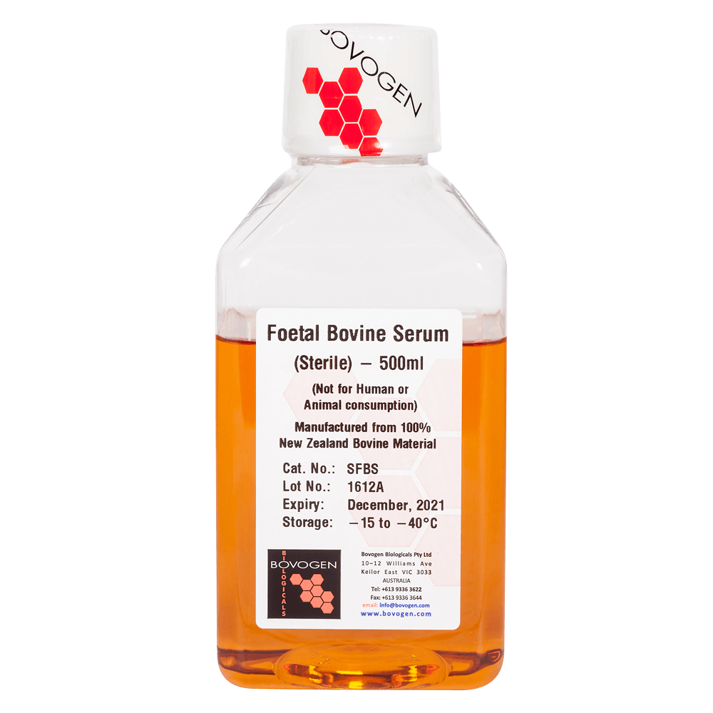 SFBS-X Foetal Bovine Serum – Sterile